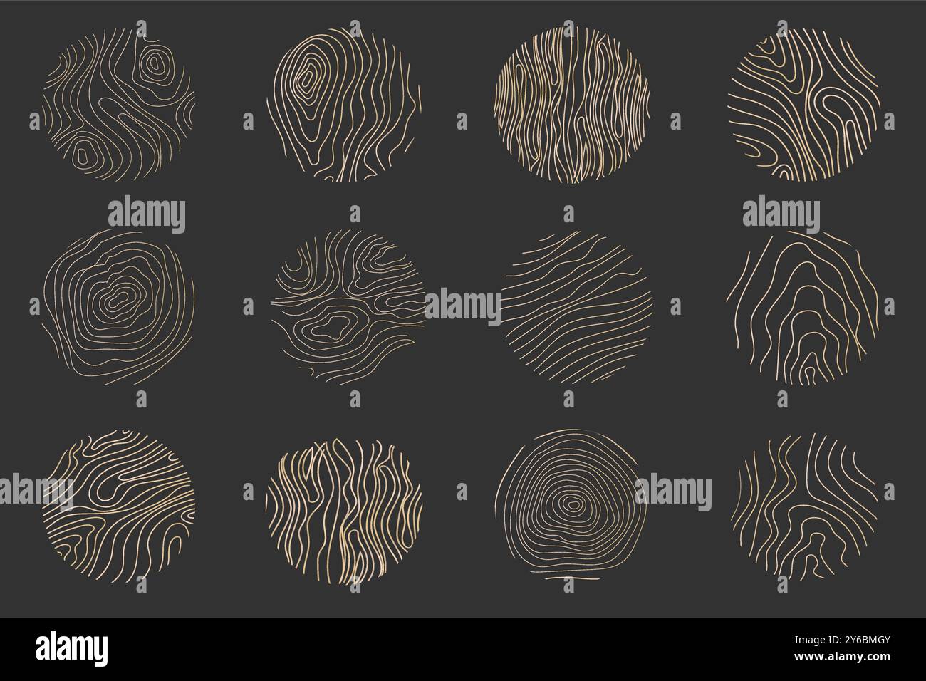 Golden thin line tree ring collection. Elegant gold wooden section ...