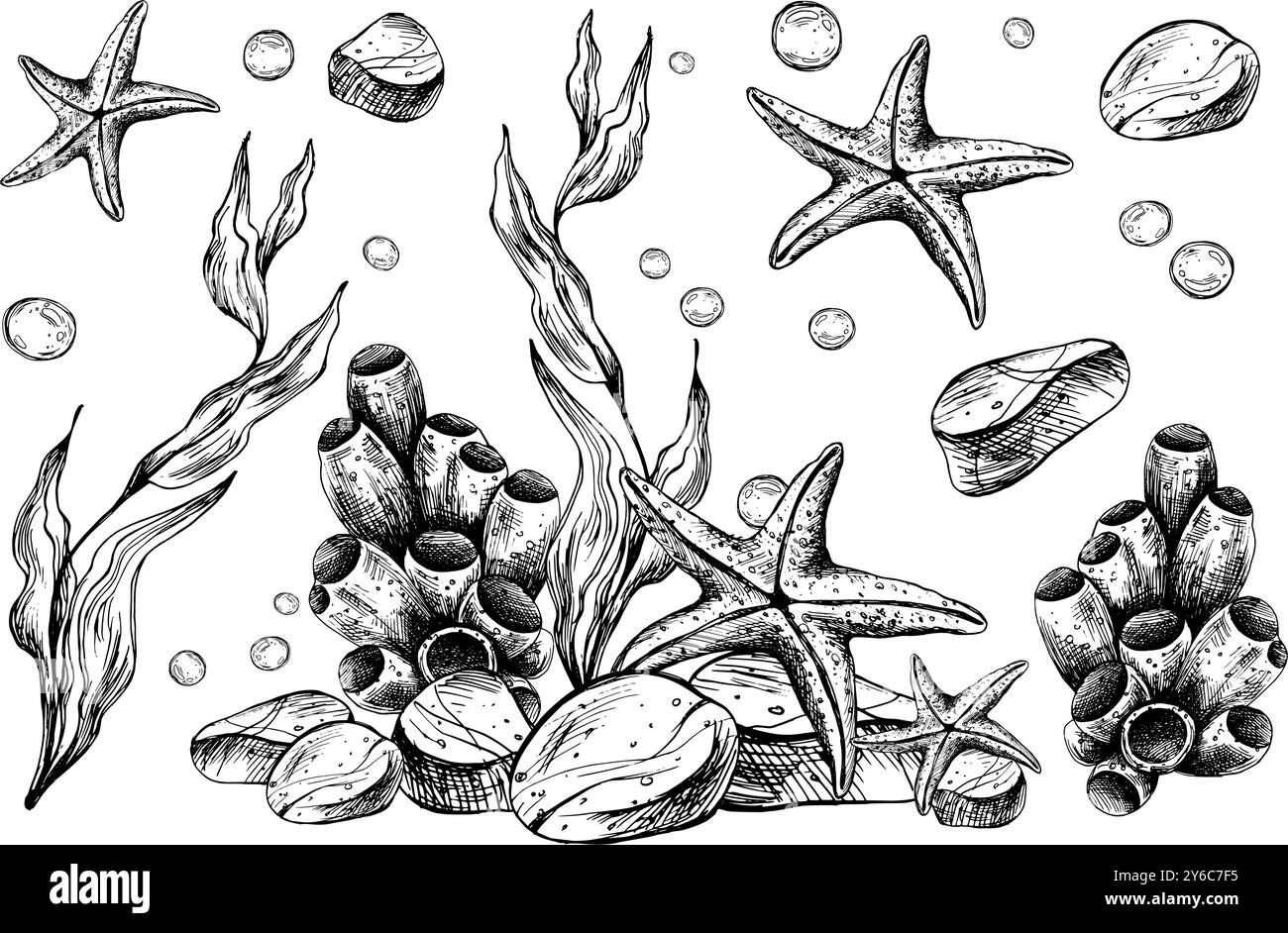 Underwater world clipart with sea animals starfish, pebbles, coral ...