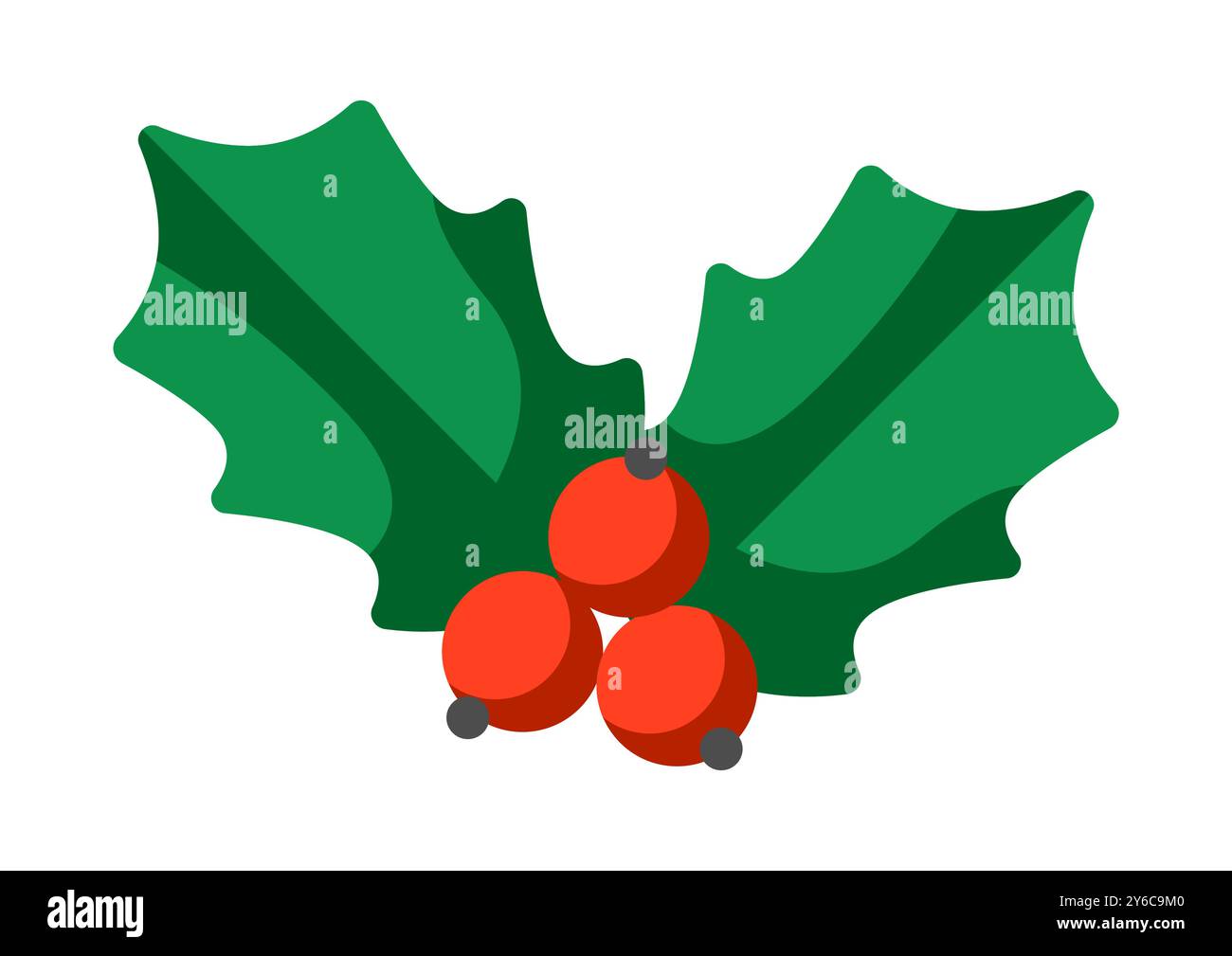 Merry Christmas holly berries. Holiday object in cartoon style Stock ...