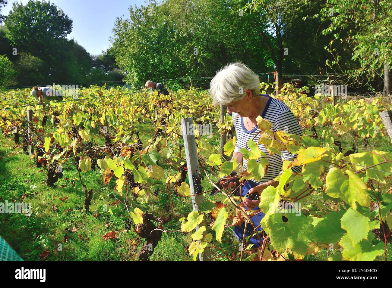 Le Quillo (Brittany, north-western France): Jean and Maria Donnio’s