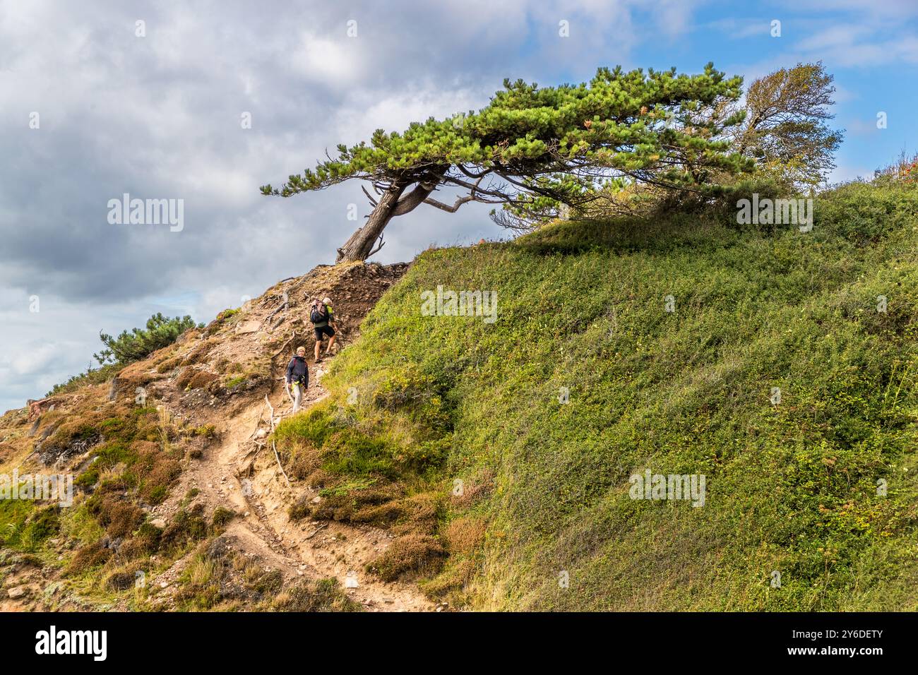 The Kullaberg peninsula is a nature reserve. Italienska vägen, Höganäs kommun, Skåne, Sweden Stock Photo