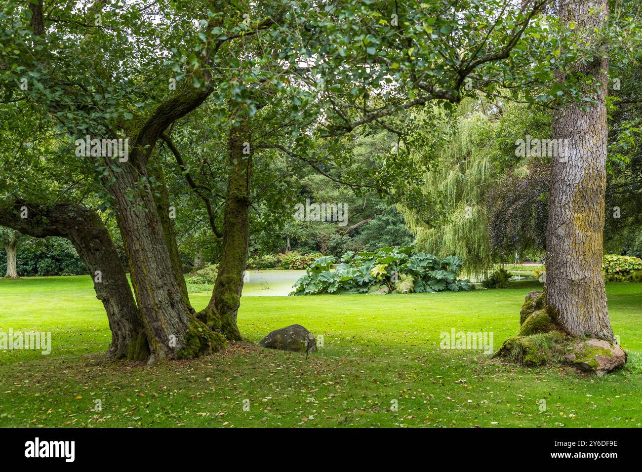 The romantic park at Krapperups Slott was designed in the 19th century under the direction of the Danish landscape architect Edvard Glæsel. It includes winding paths, carp ponds, rhododendron bushes and an impressive rose garden with over 600 rose plants. Krapperup Castle and Park. Krapperupsvägen, Höganäs kommun, Skåne, Sweden Stock Photo