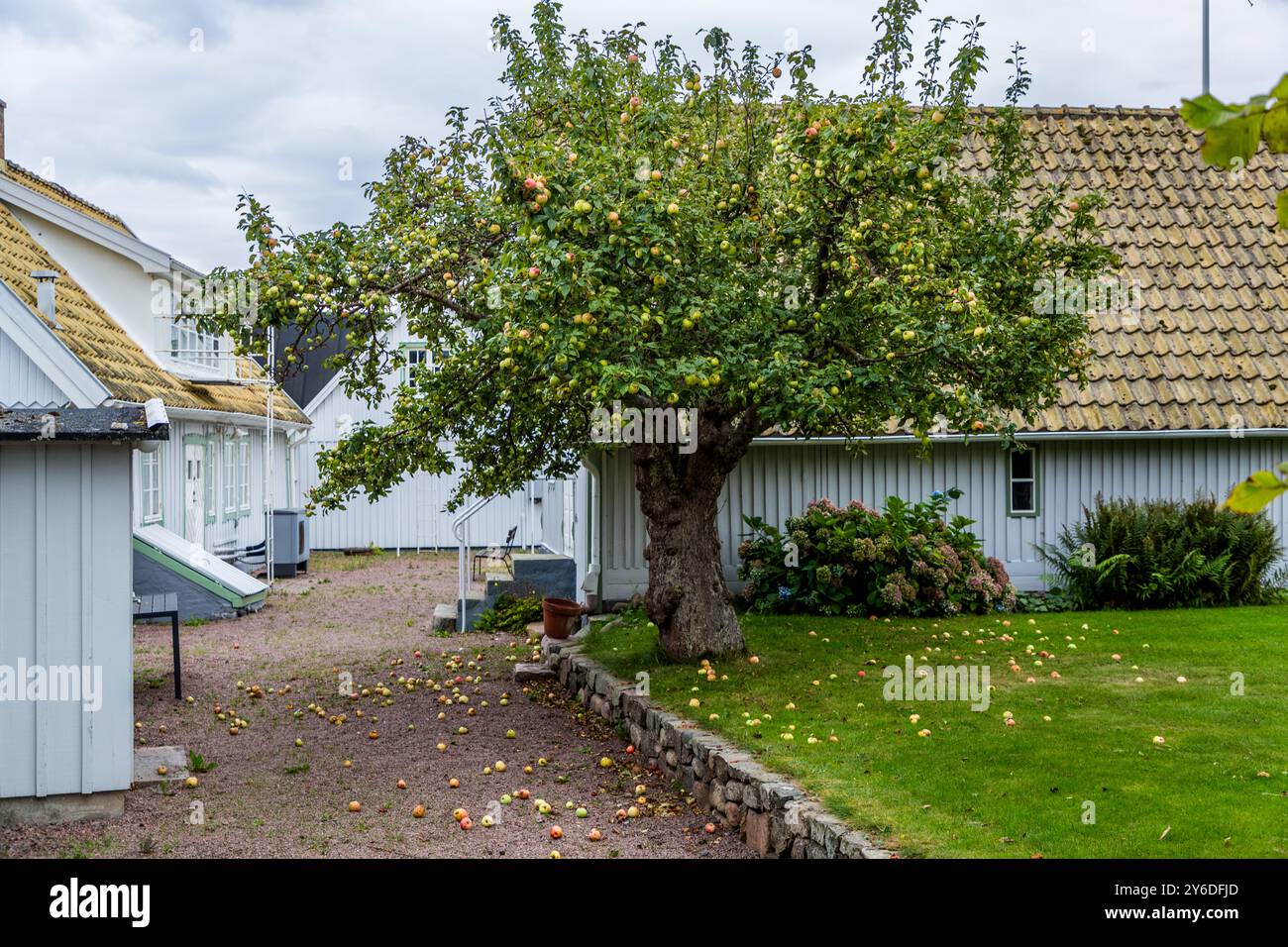 Picturesque houses in the harbour town of Arilds hamn. Strandhagsvägen, Höganäs kommun, Skåne, Sweden Stock Photo