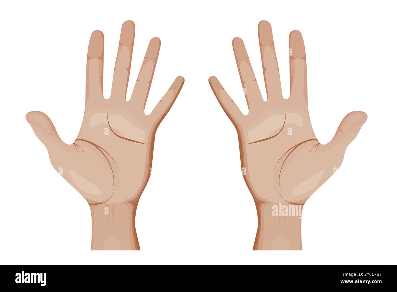 Human Hands Vector Illustration. Open Palms Stock Vector Image & Art ...