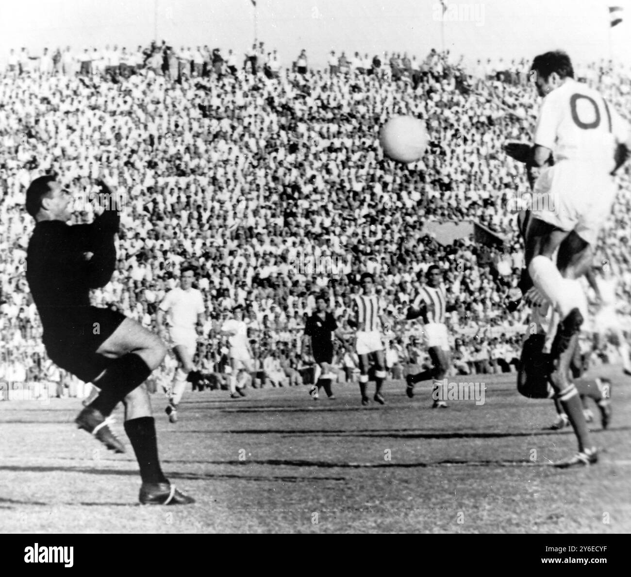 Omar Marmoush in Spurs White: Kit Unveiling, Squad Number, and Contract Proof
