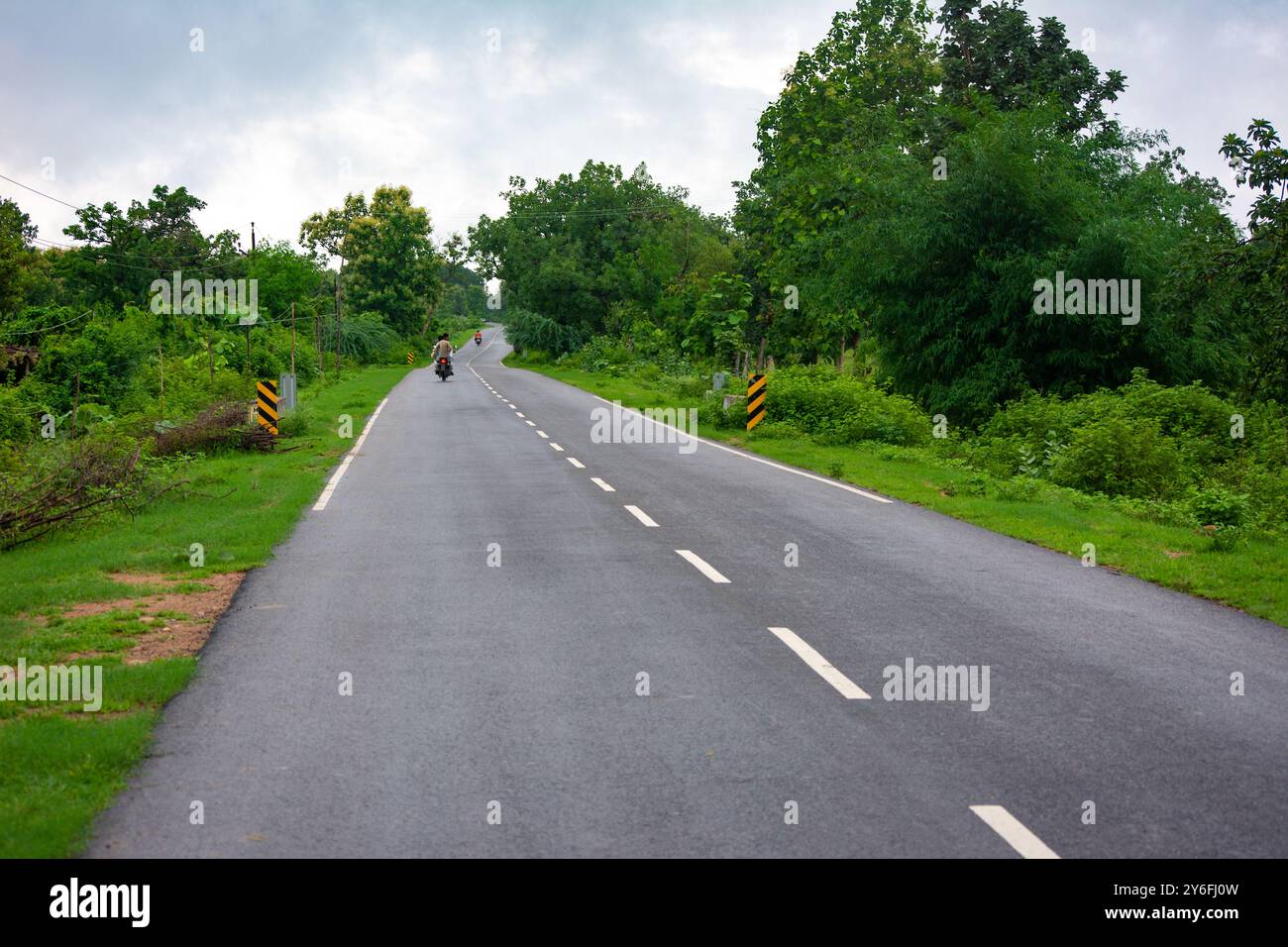 Asphalt road in green forest Stock Photo - Alamy