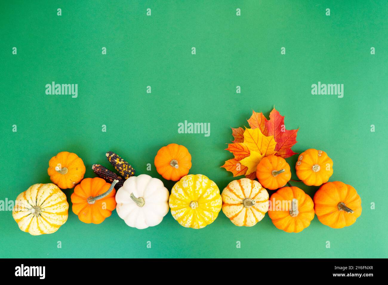 Halloween scene on orange background Stock Photo - Alamy