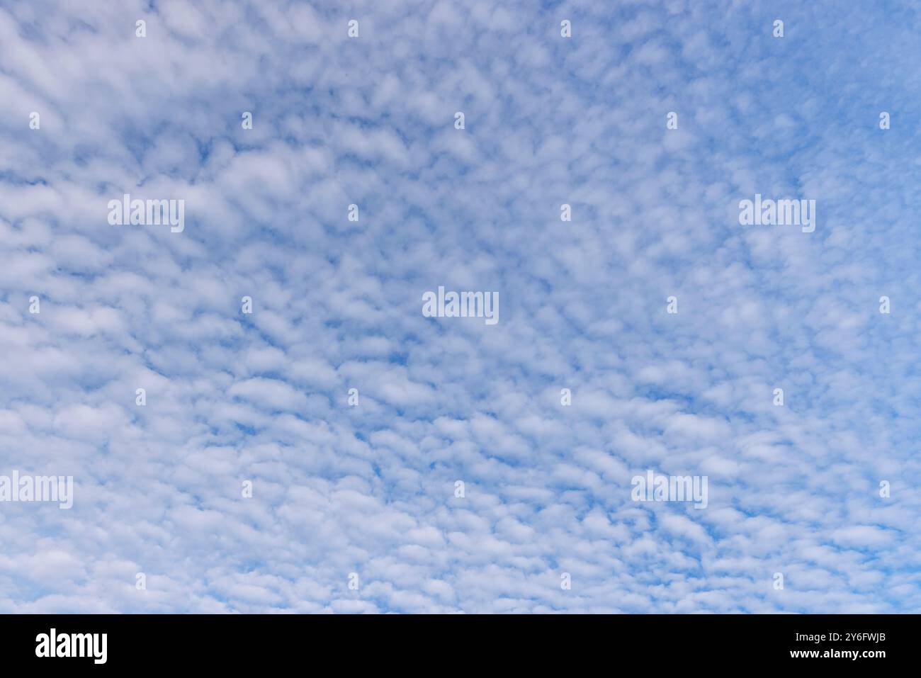 High altitude cirrocumulus clouds, Finland Stock Photo