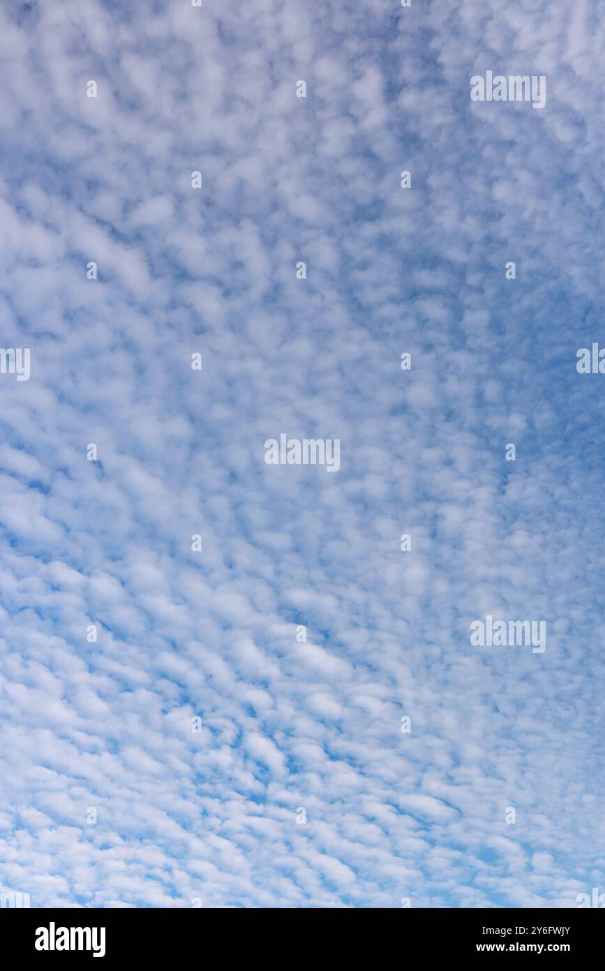 High altitude cirrocumulus clouds, Finland Stock Photo