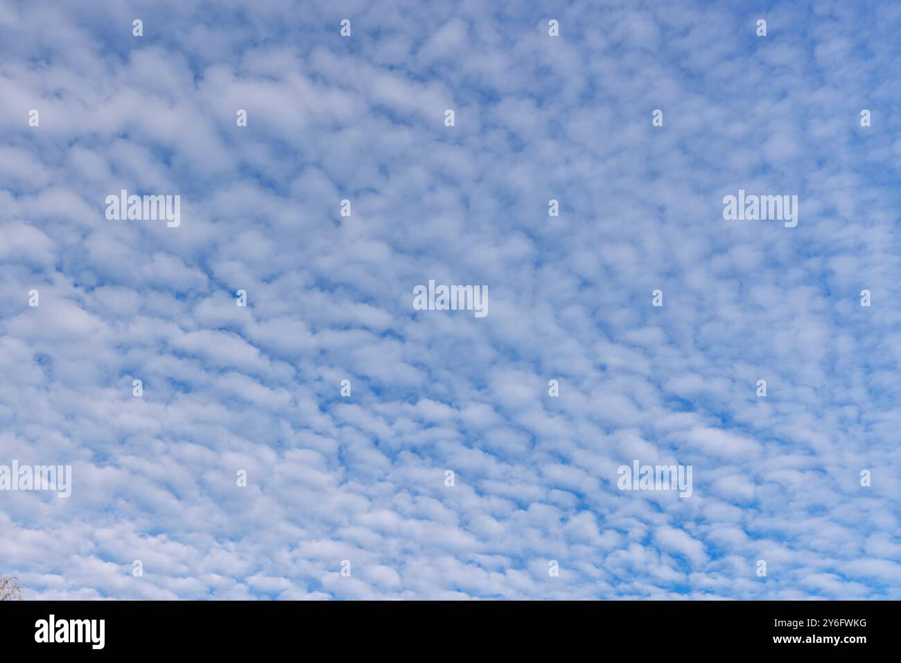 High altitude cirrocumulus clouds, Finland Stock Photo