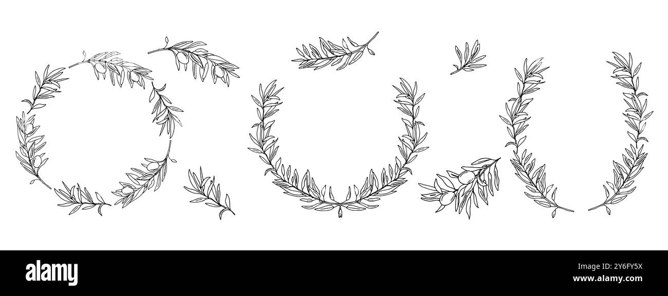Set of Olive Wreaths and Branches. Hand drawn ink Vector isolated ...