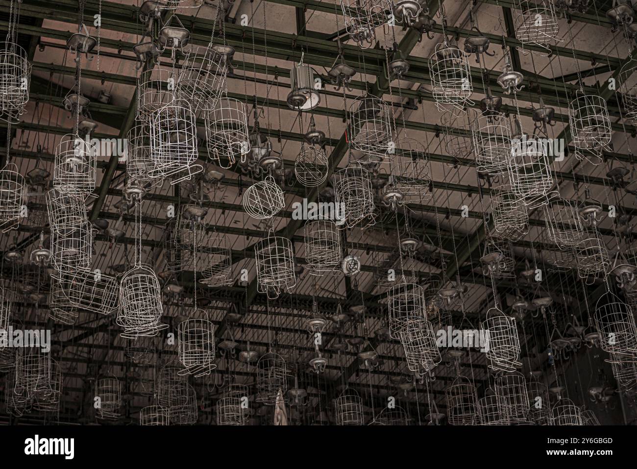 Chewing baskets, wash chewing, storage, clothing, laundry, Ruhr area ...
