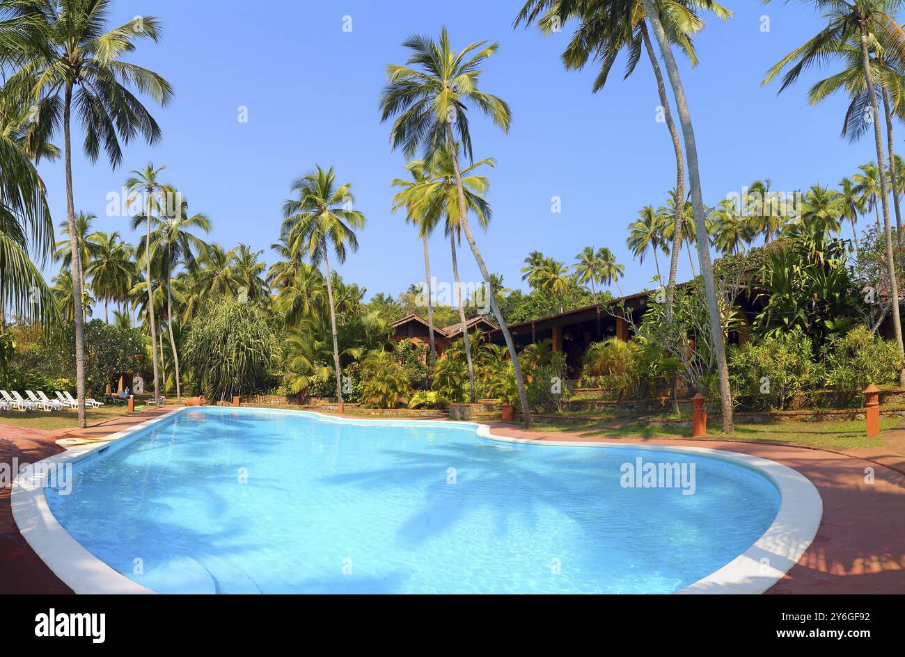 Panorama of swimming pool with palm trees at tropical resort Stock ...