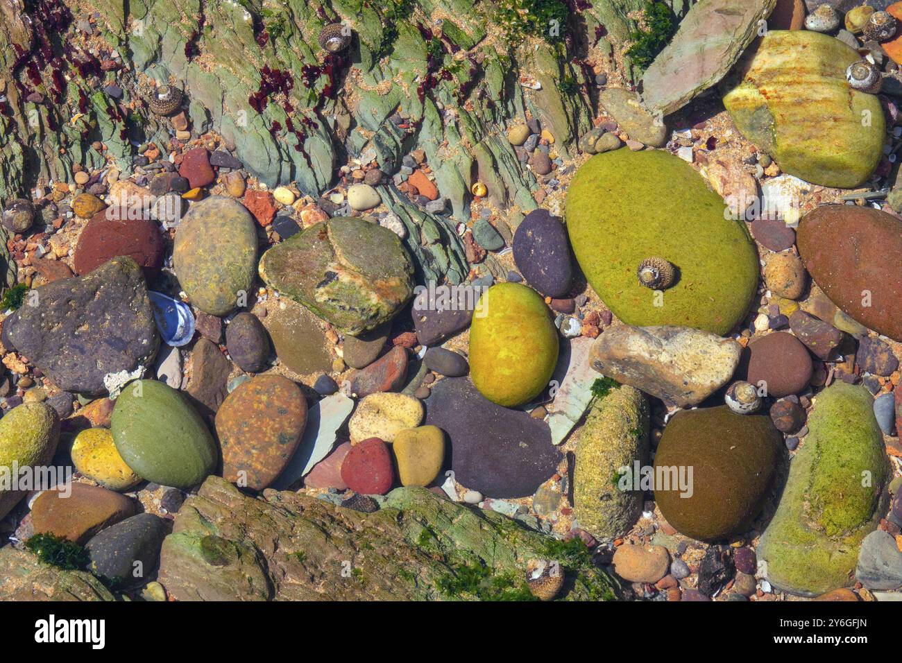 Close-up view of multicolored pebble on sea beach under clear water of ...