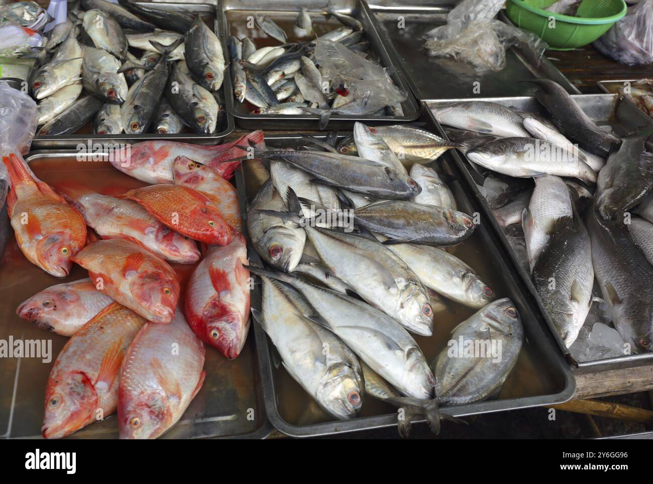 Fresh fish on the fish market counter in Thailand Stock Photo - Alamy