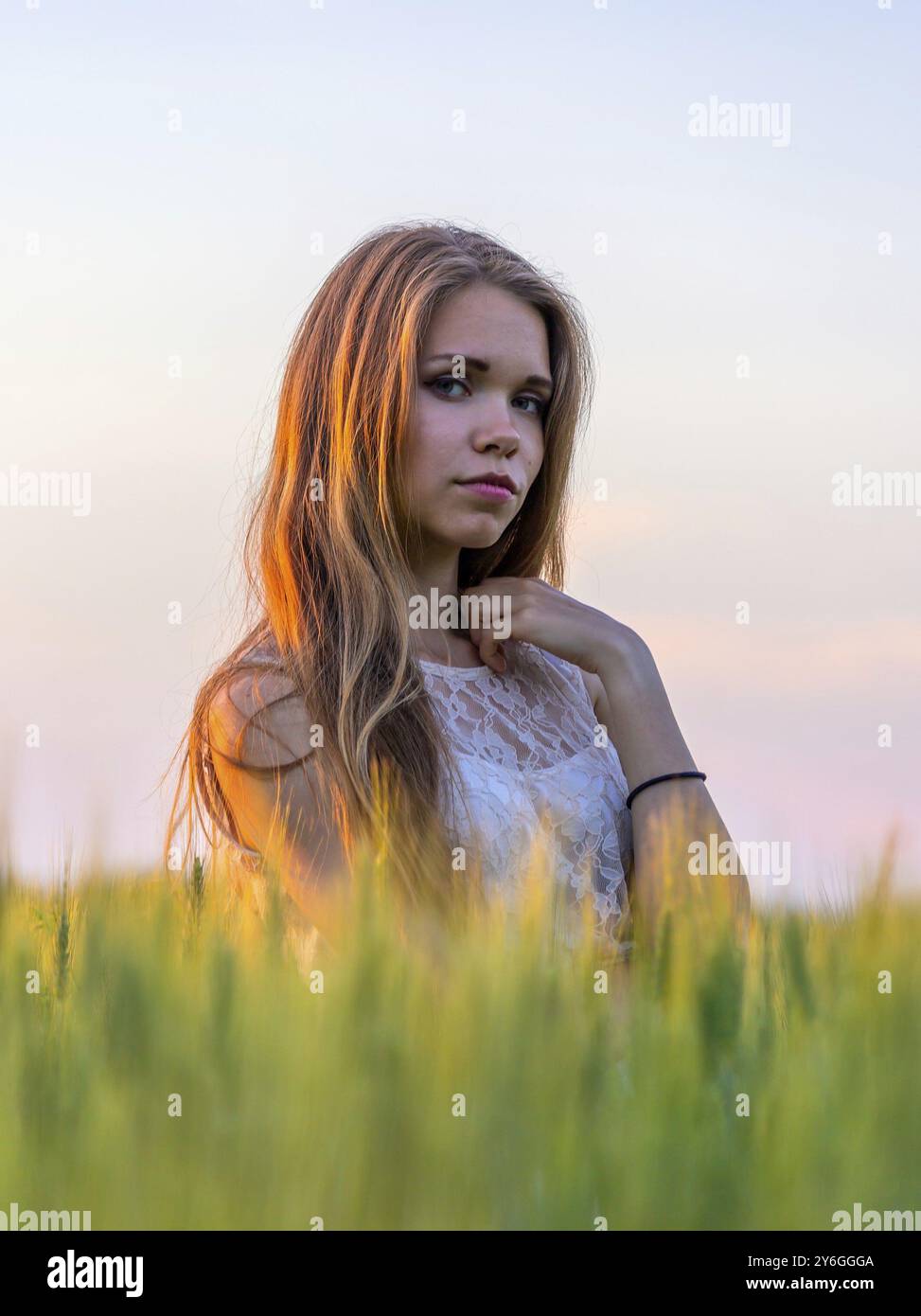 Portrait of a pretty girl in a wheat field at sunset Stock Photo - Alamy