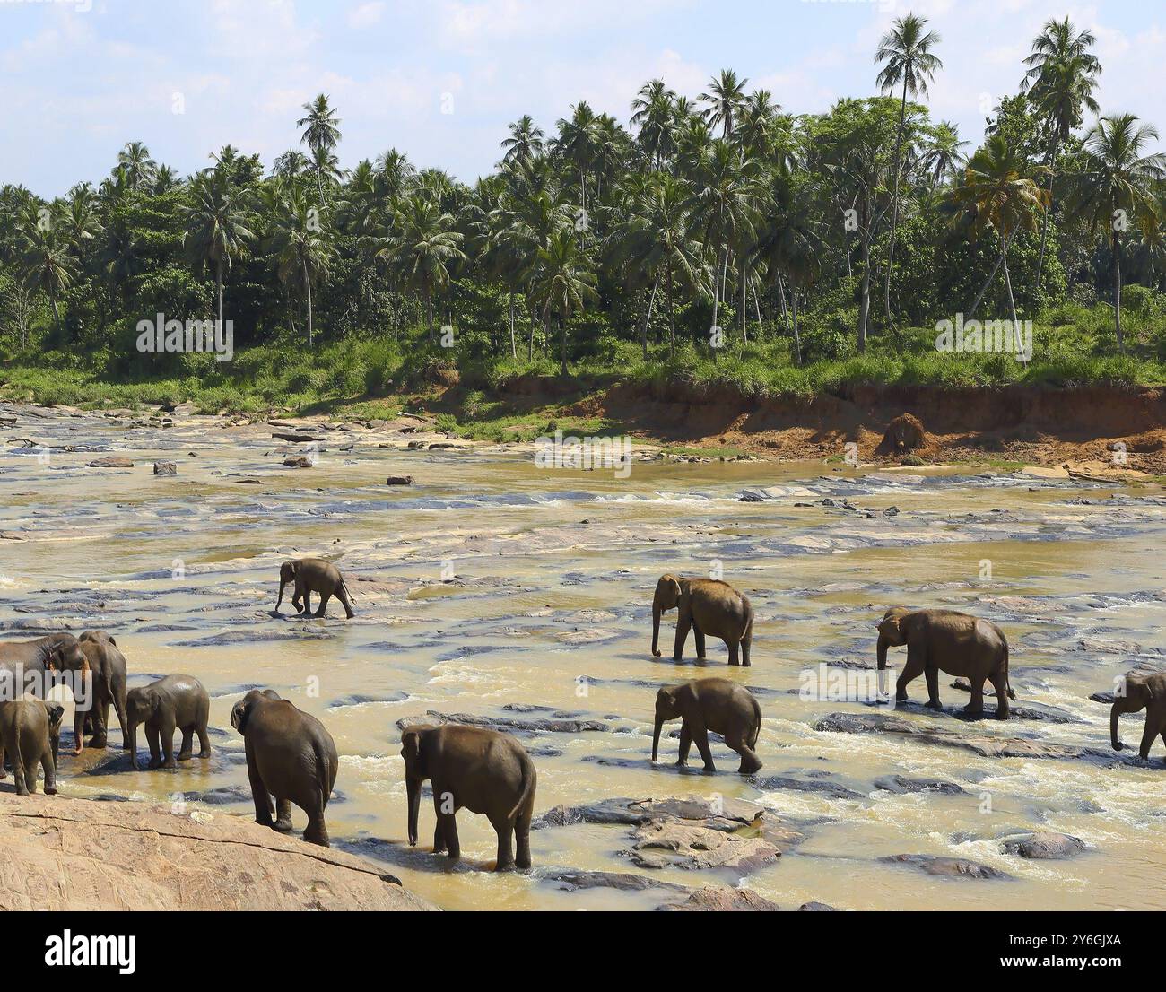 Rivers in sri lanka hi-res stock photography and images - Alamy