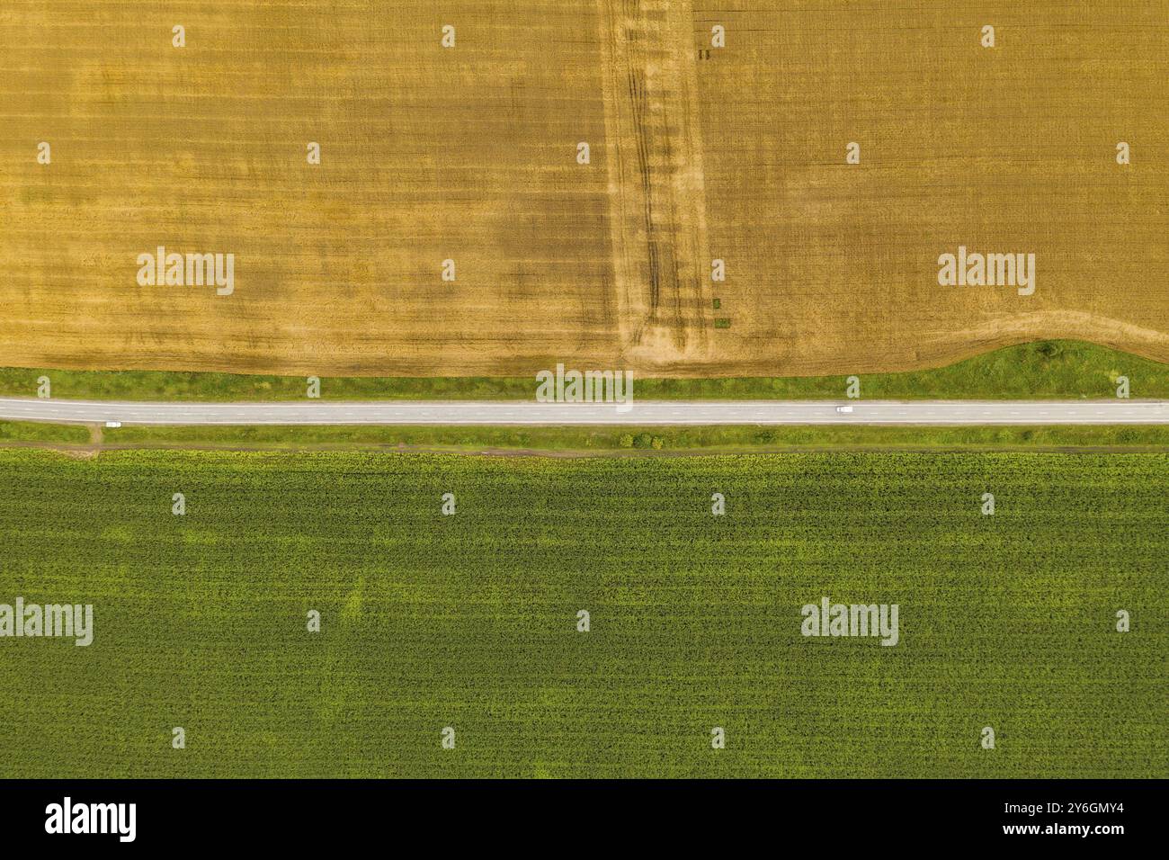 Aerial top view drone photography of a land with sown green fields in countryside Stock Photo