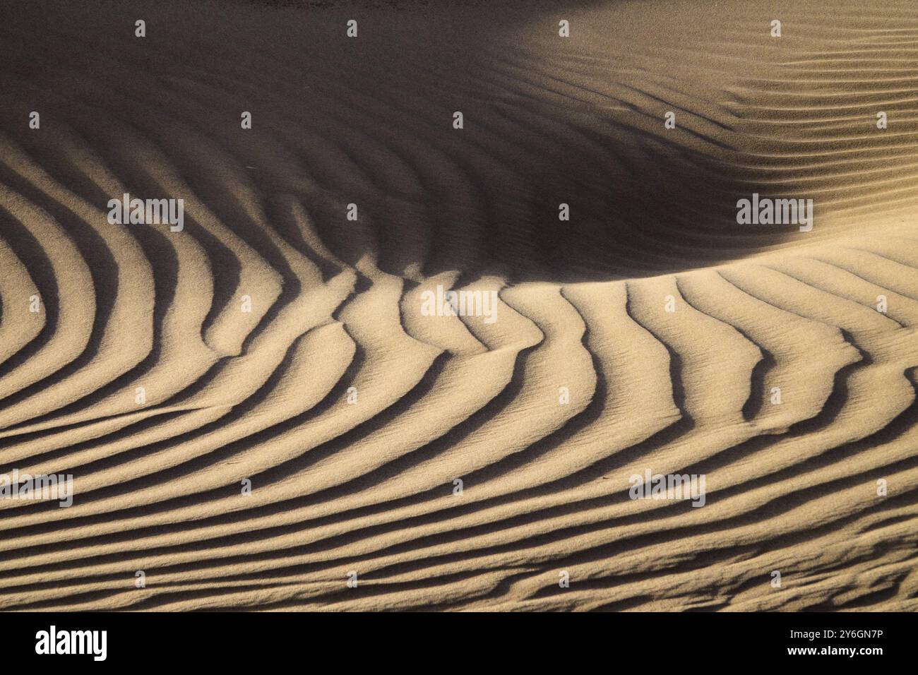 Sand blowing over sand dunes in wind, Sahara desert Stock Photo - Alamy