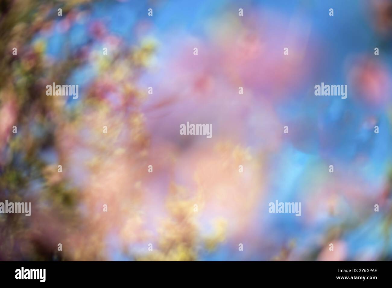 Abstract beautiful blur spring blossoming peach tree background Stock Photo