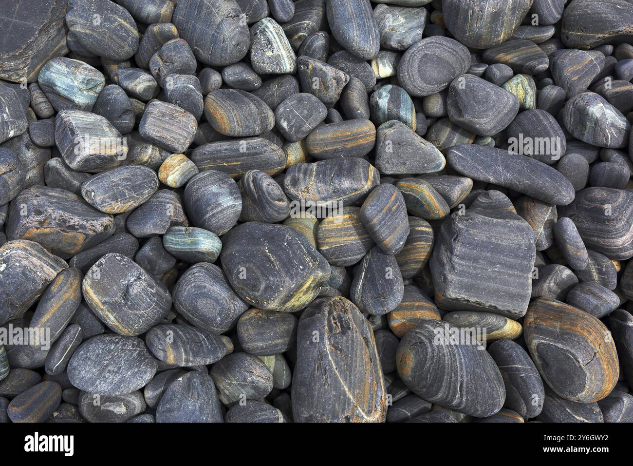 Gray striped pebble as a background Stock Photo