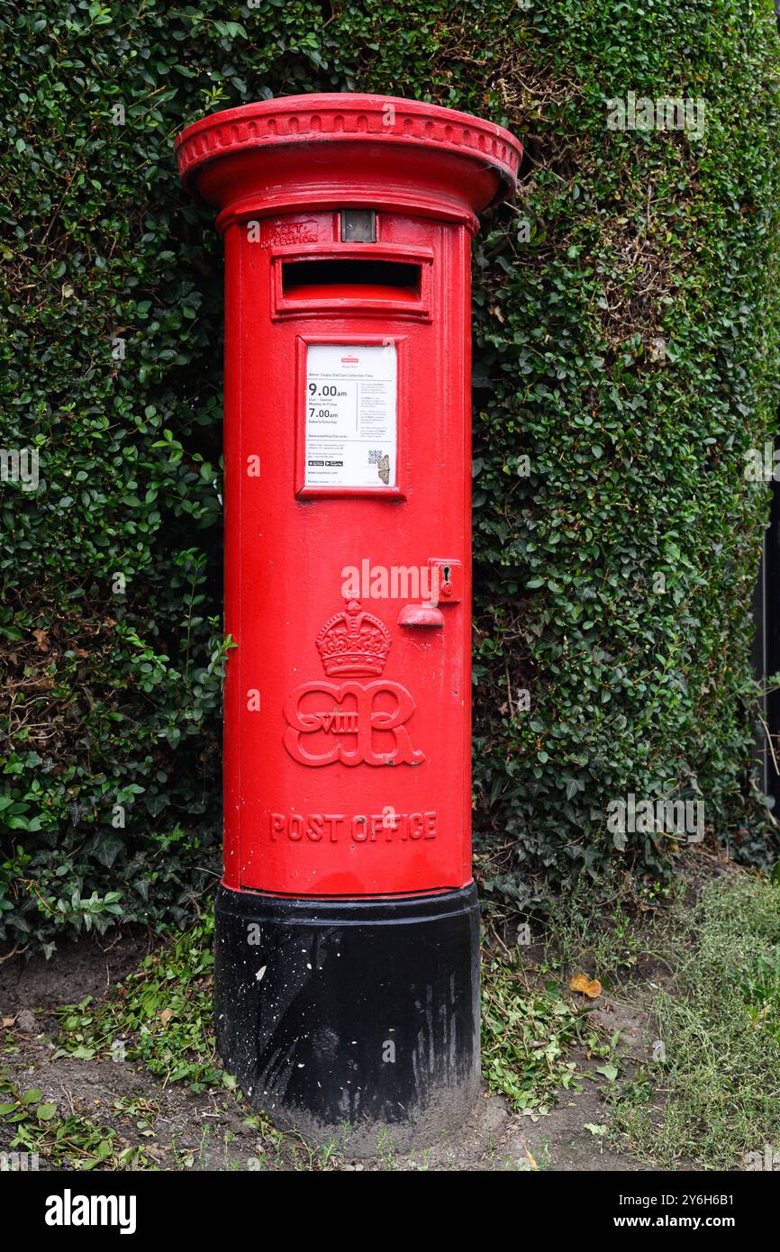 Welshpool, Wales, UK - September 6, 2024; Rare King Edward VIII cypher on red post office pillar box along hedgerow Stock Photo