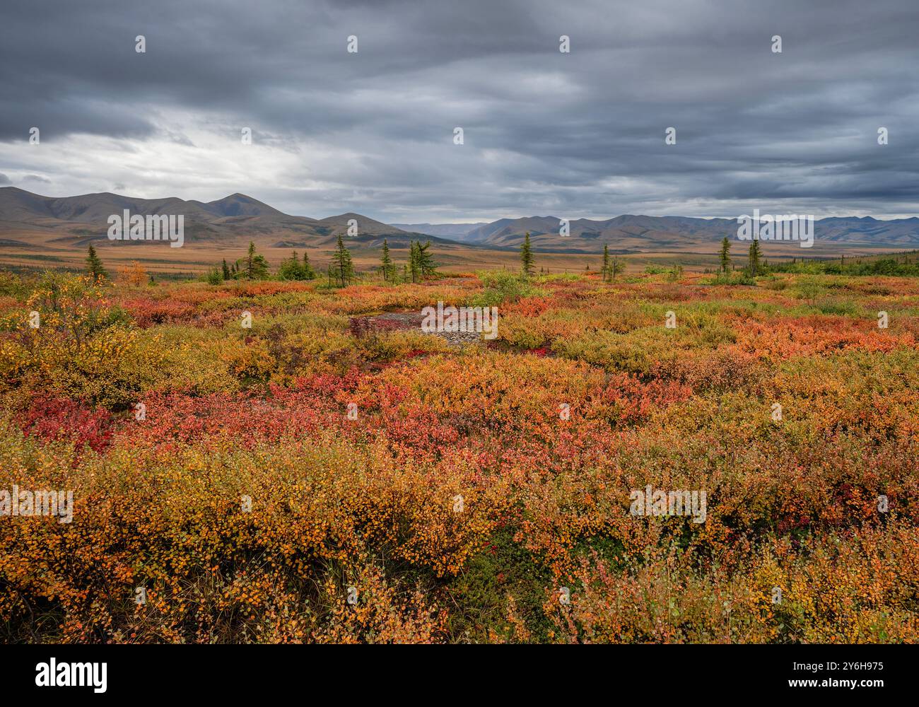 Autumn Foliage and Richardson Mountains at the Arctic Circle in Yukon, Canada Stock Photo
