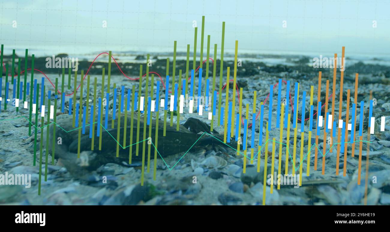 Financial data analysis image over rocky beach background Stock Photo