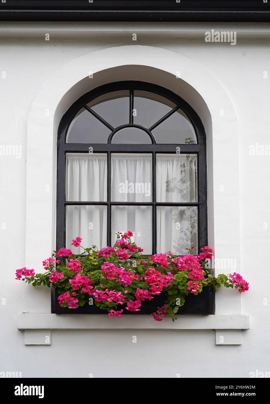 Window Box Pink Pink box hi-res stock photography and images - Alamy