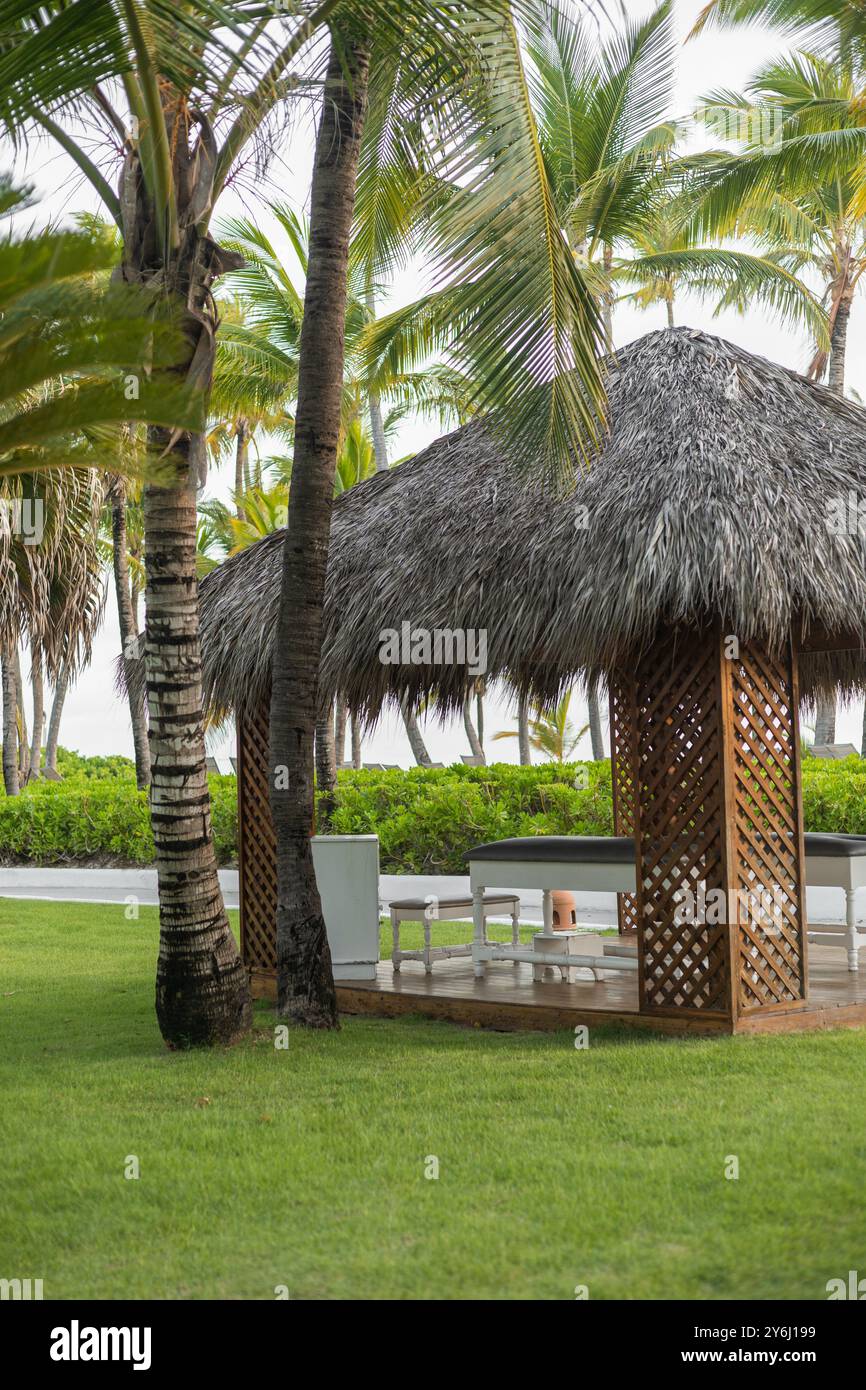 Rustic cabin in a hotel, decorated with palm trees, wallpaper of a ...