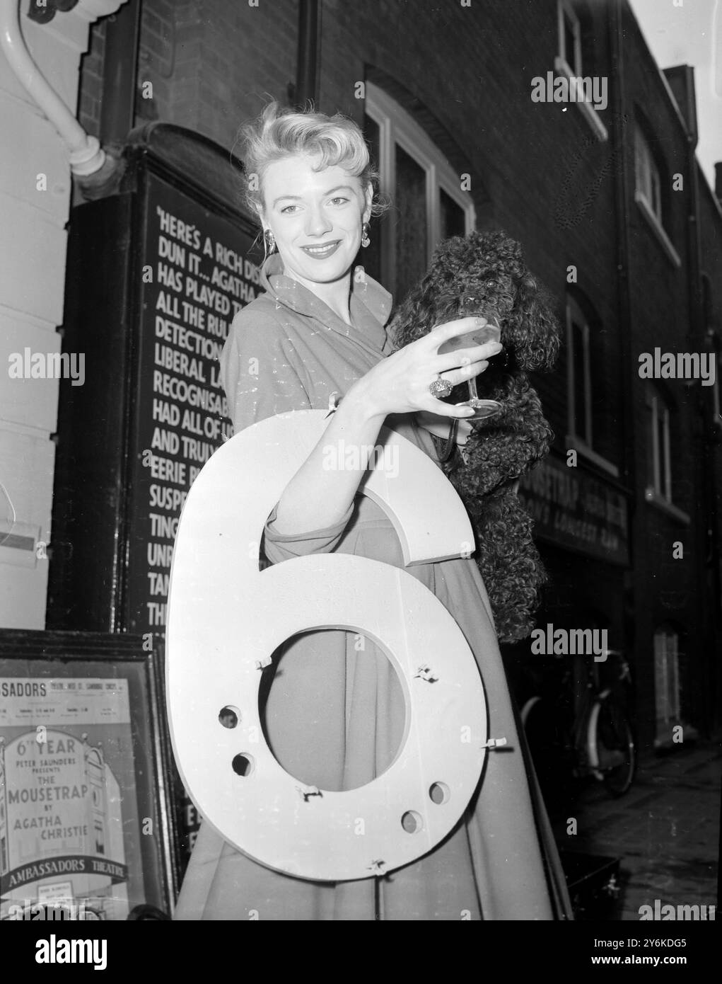 MARY LAW leading lady in THE MOUSE TRAP carries the new sign '6' and shares a toast with her poodle QUIBA outside the Ambassador's Theatre in London.  The number six marks the sixth year of The Mouse Trap - an all-time record.  Drinks were with the compliments of a restaurant opposite The Ivy who also placed a sign outside announcing that the restaurant was in its 41st year as a little piece of pleasant rivalry - 7th November 1958. ©TopFoto Stock Photo