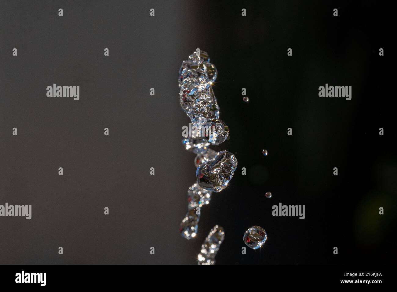 Water drops in dark background Stock Photo