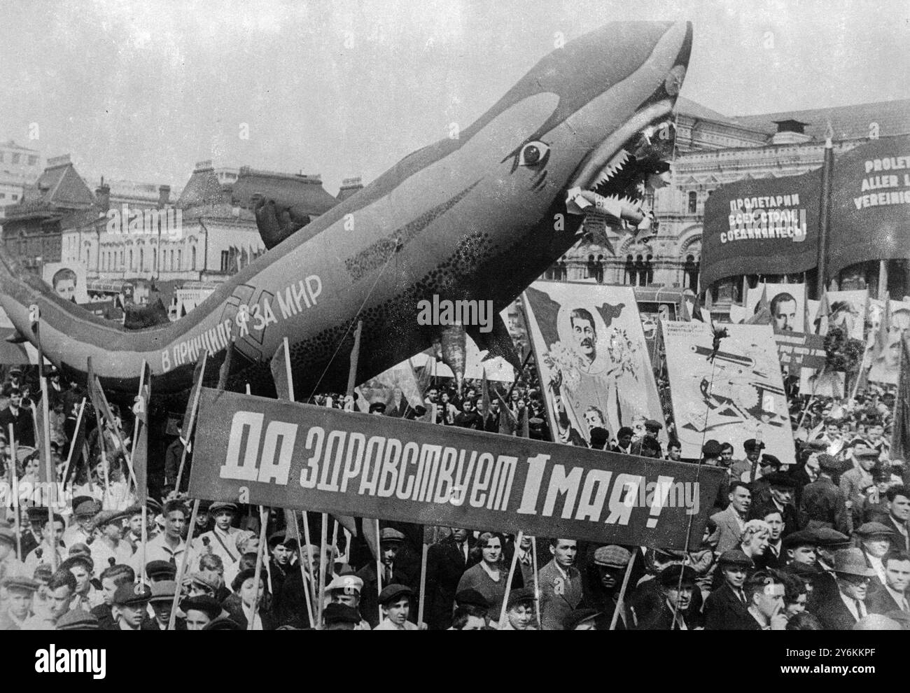 Millions of civilians joined in a mass parade across Red Square, Moscow to celebrate May Day. They  followed the military in which thousands of troops with latest war machinery marched past  Lenin's tomb in honour of Stalin.   Lord Marley was among the distinguished foreigners who watched the celebrations, which this year had an even more light-hearted note than usual in response to Stalin's order that 'Life is now gayer and better'.  A huge gas-inflated shark represents 'Belligerent Fascism' and across the swastika are the words 'on principle I am for peace'.  5 May 1936 Stock Photo