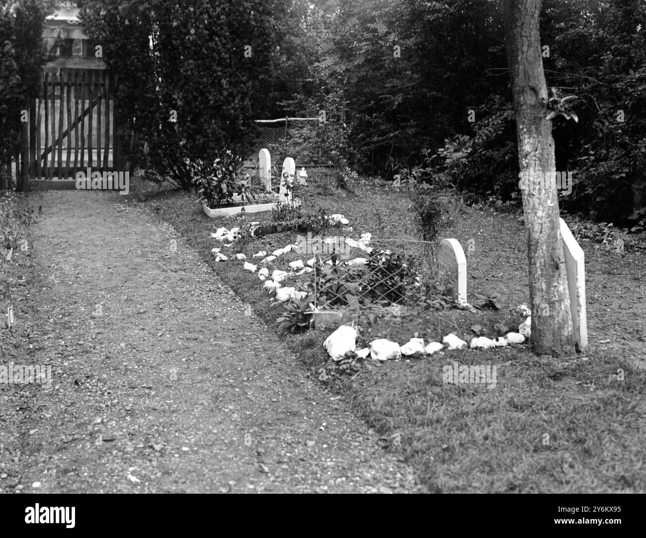 Dogs Cemetery at Ruislip Hillingdon West London. Stock Photo