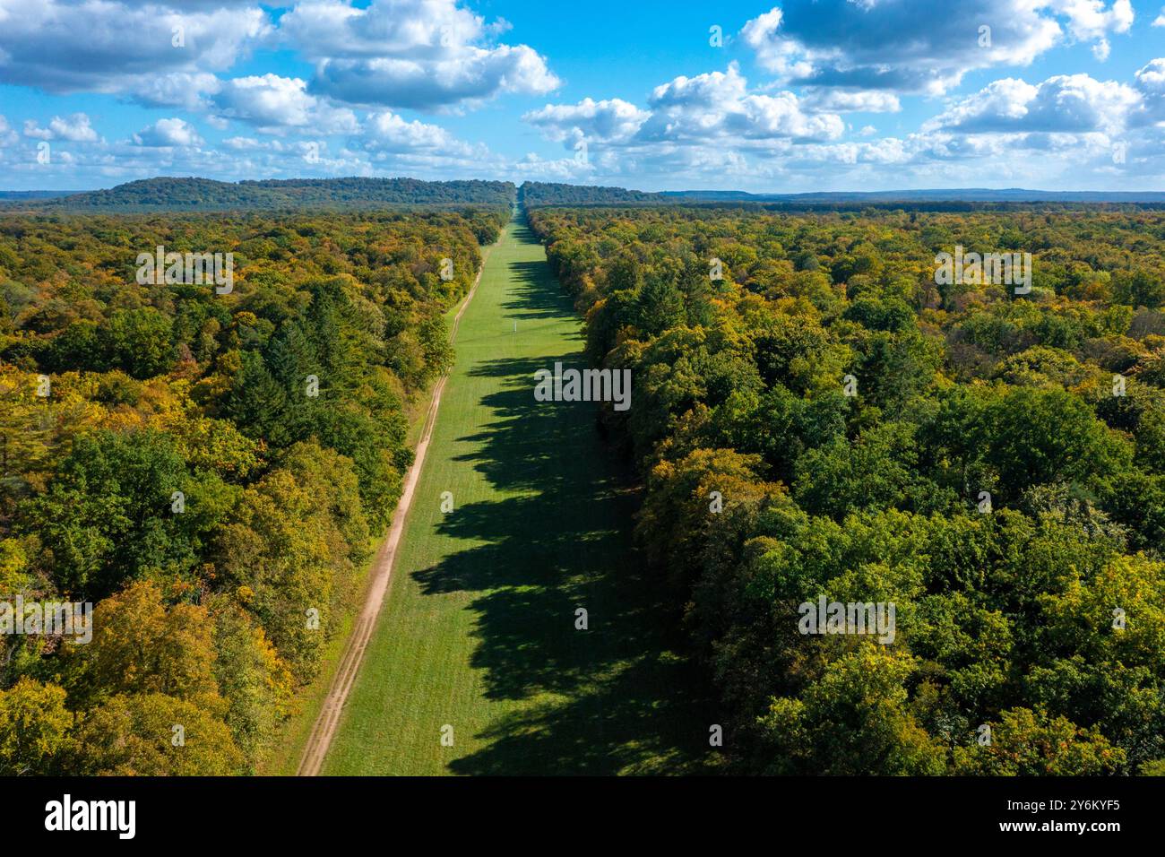 France forest compiegne hi-res stock photography and images - Alamy