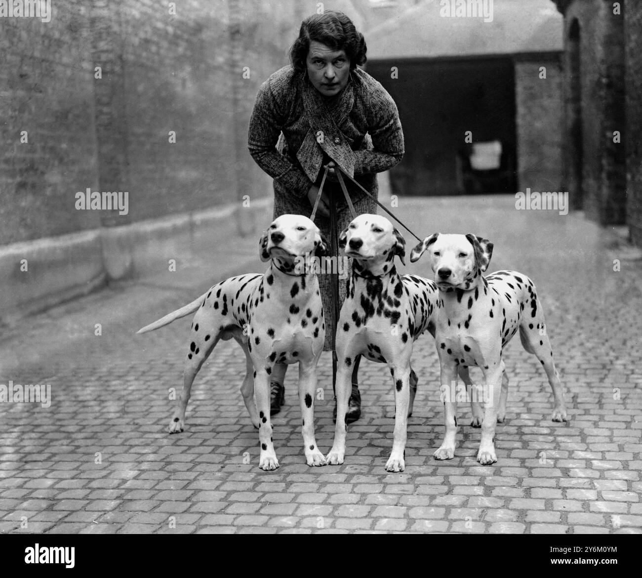 British Dalmatian Club's Show at Tattersalls. Mrs Ratcliff with "Togo