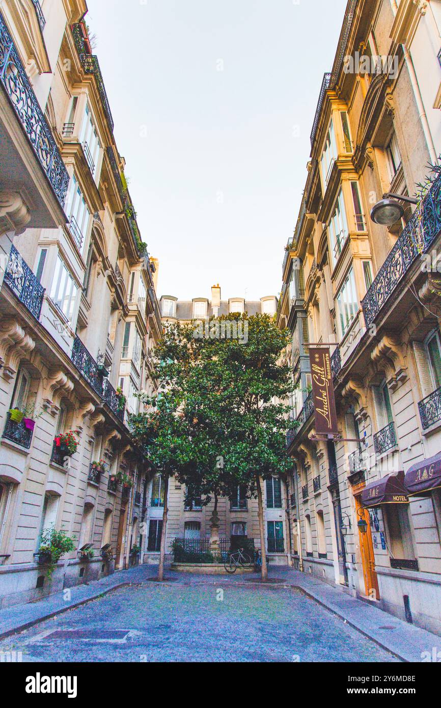 France, Paris, lone tree in a dead end Stock Photo
