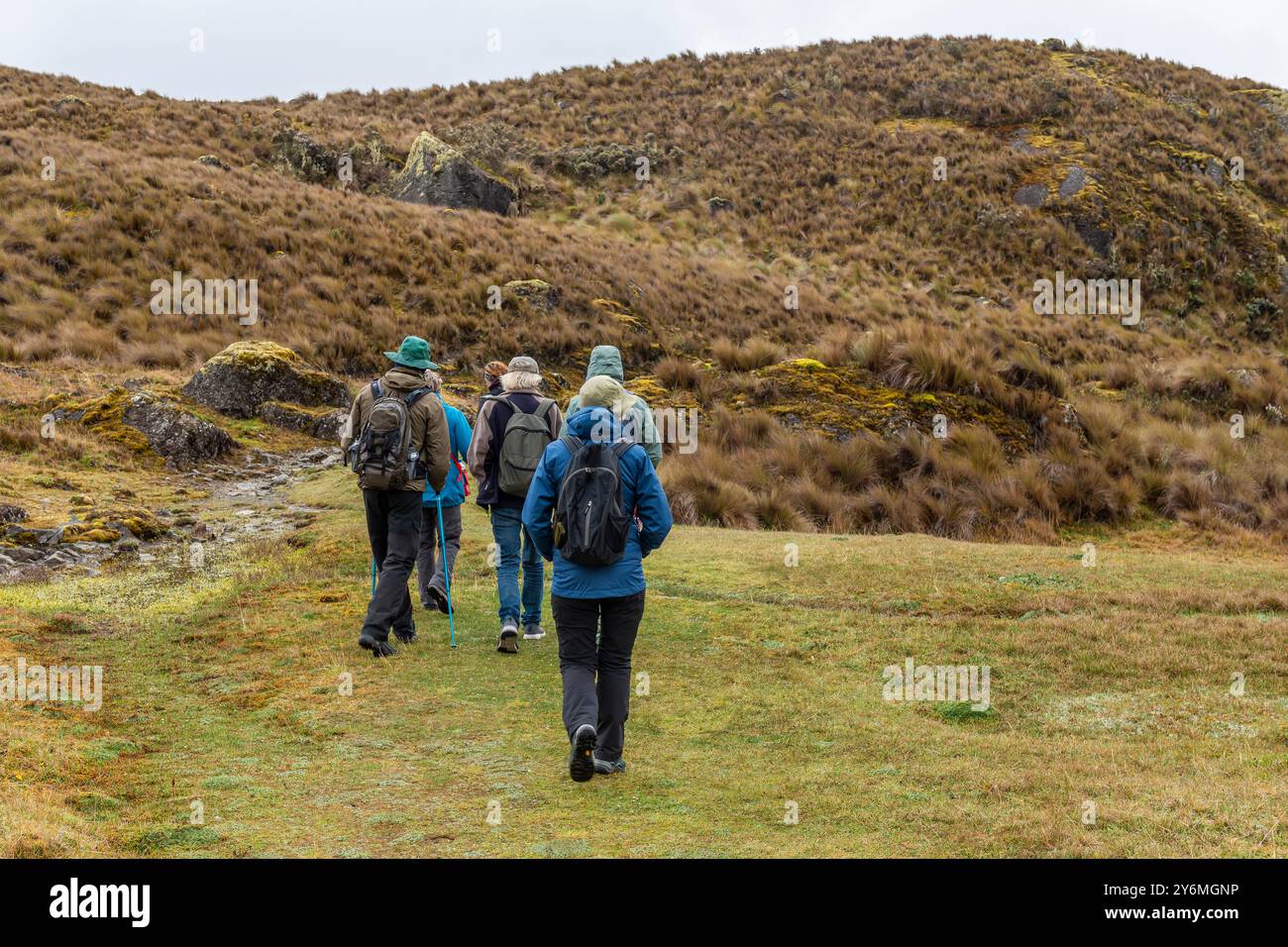 People hiking in Cajas national park, Cuenca, Ecuador. Stock Photo
