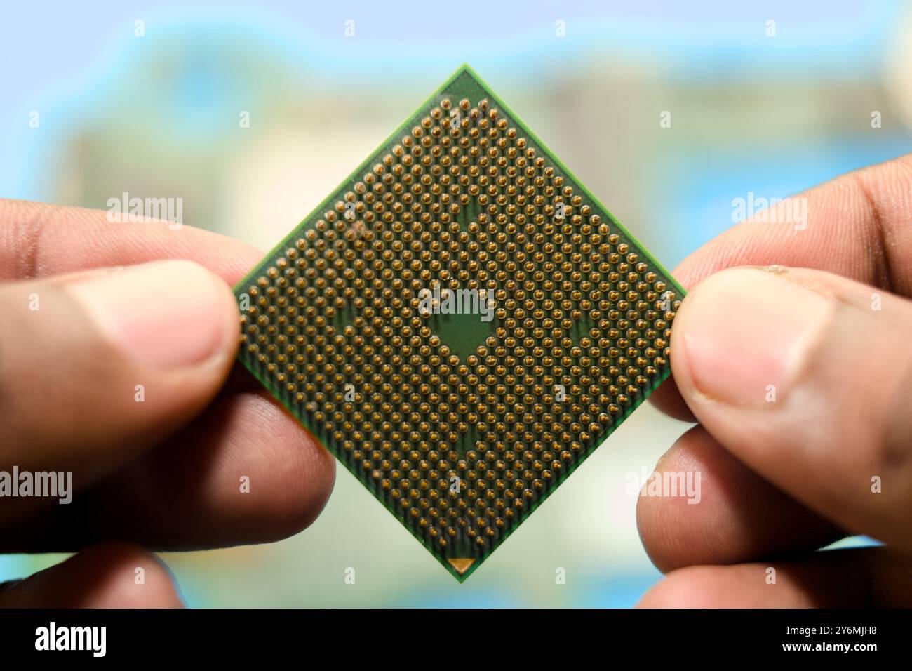 Fingers carefully hold a computer processing unit against a blurred blue background. Stock Photo
