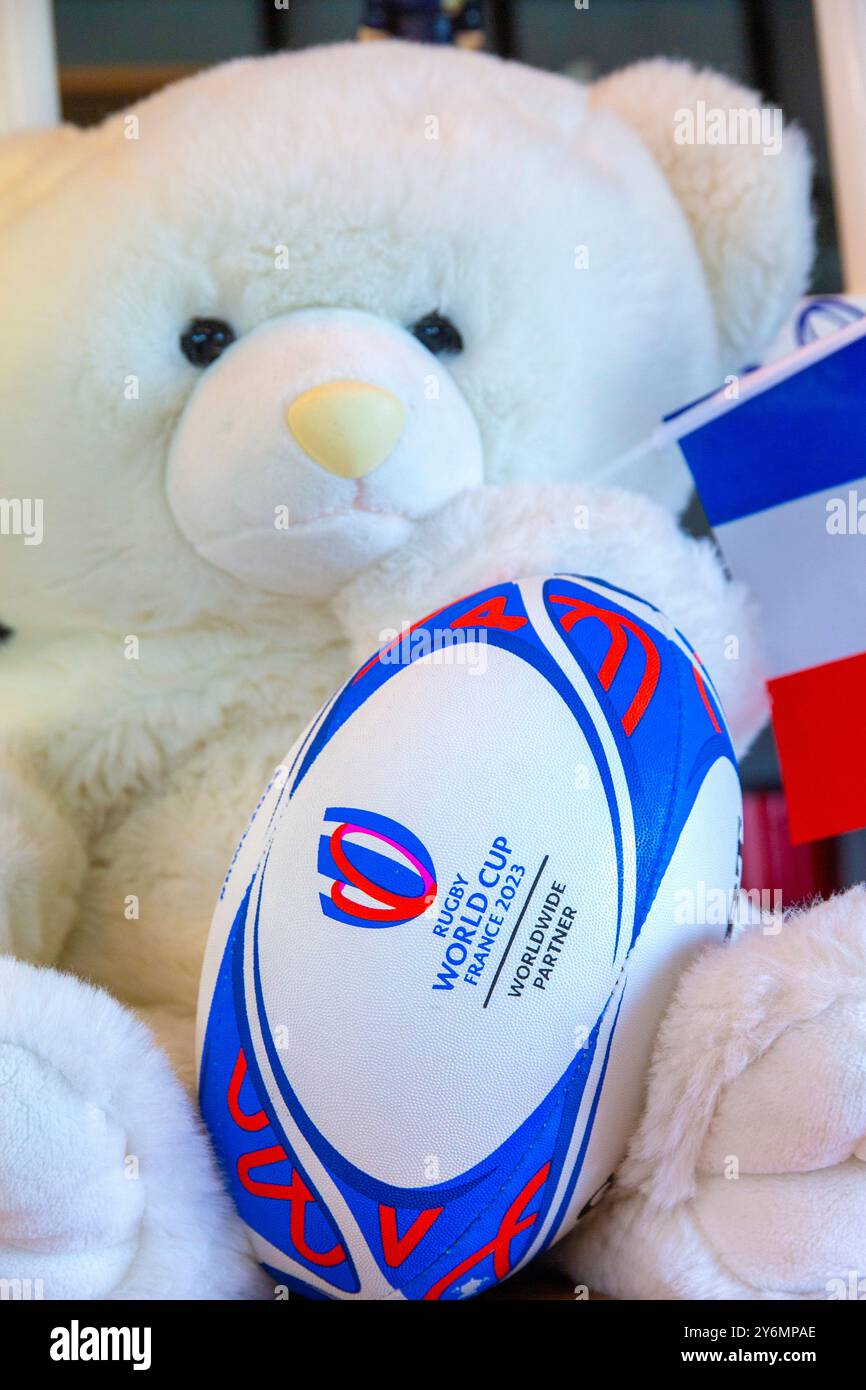 Plush holding the official ball of the Rugby World Cup in France, 2023 ...