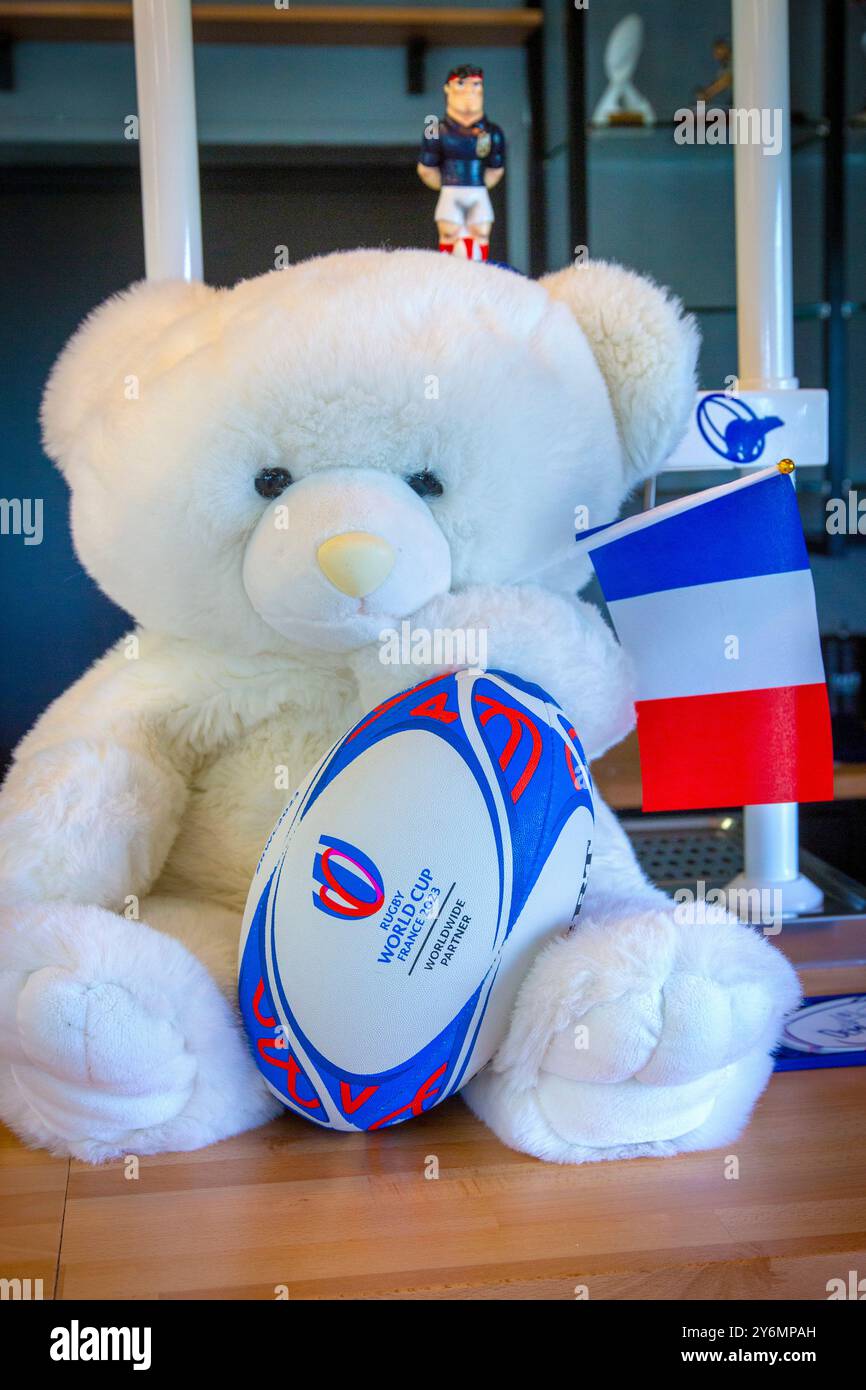 Plush holding the official ball of the Rugby World Cup in France, 2023 ...