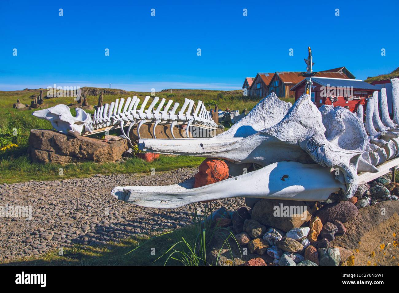 Iceland, Austurland, Djúpivogur, whale skeleton Stock Photo
