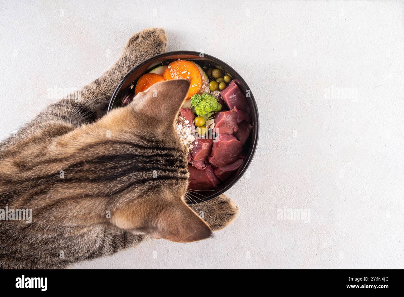 Barf kitten food deals