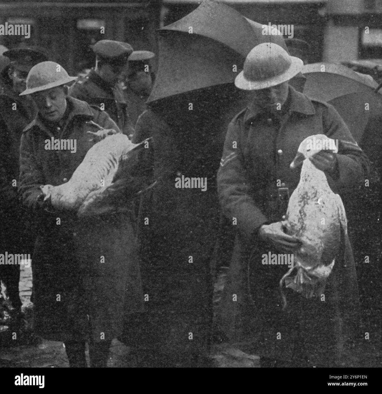 Buying their Christmas goose British soldiers marketing in a town near the front Stock Photo