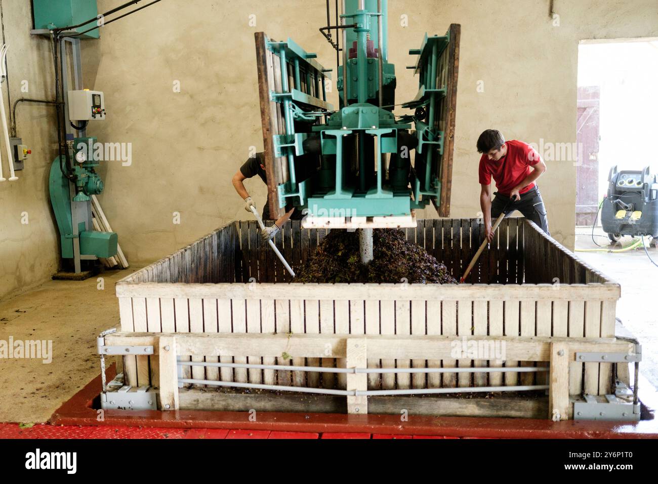 Châtillon-sur-Marne (northern France): Conart Despesel champagnes harvest. Grape processing in the traditional press by farm and seasonal workers Stock Photo