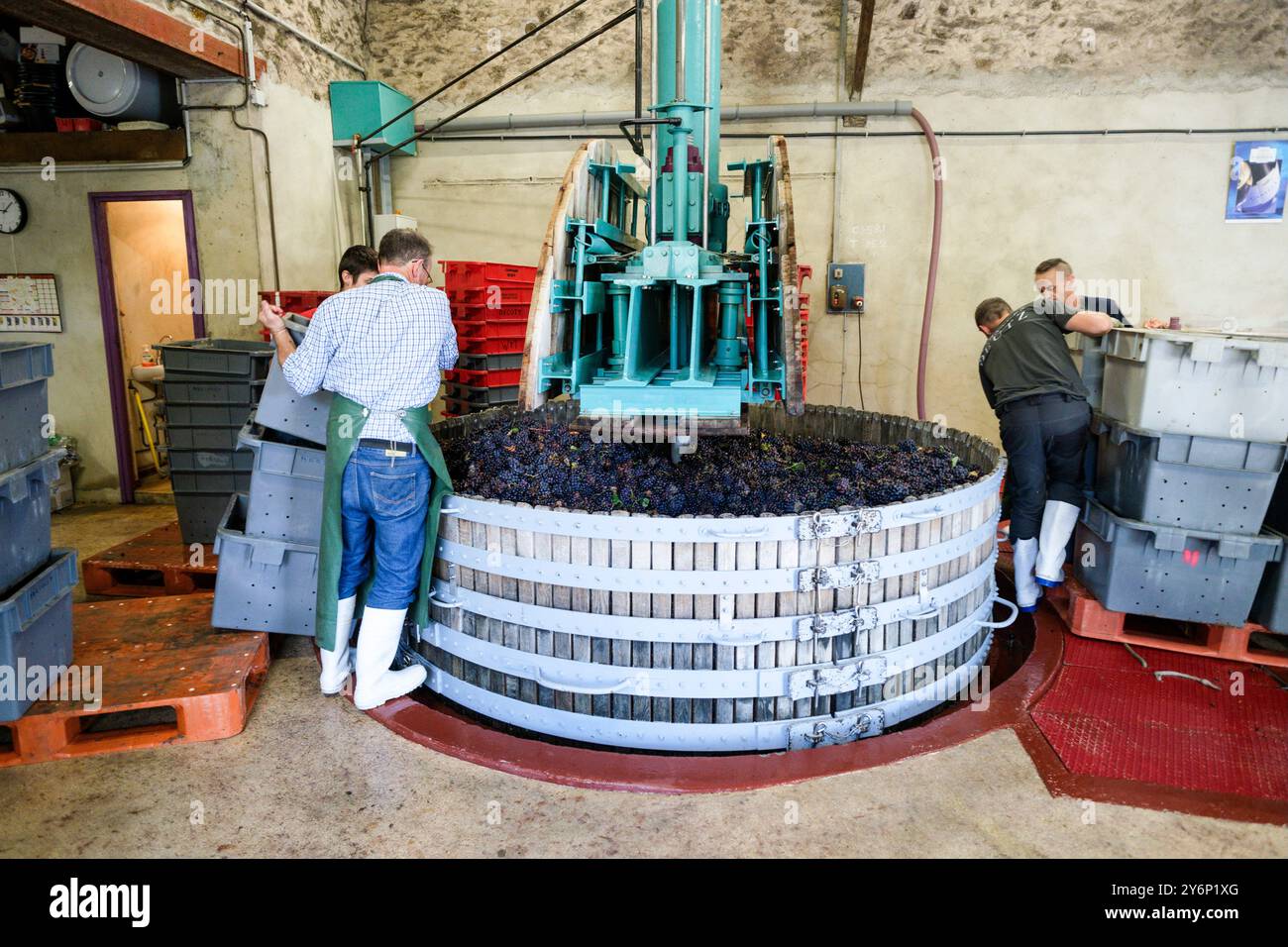 Châtillon-sur-Marne (northern France): Conart Despesel champagnes harvest. Grape processing in the traditional press by farm and seasonal workers Stock Photo