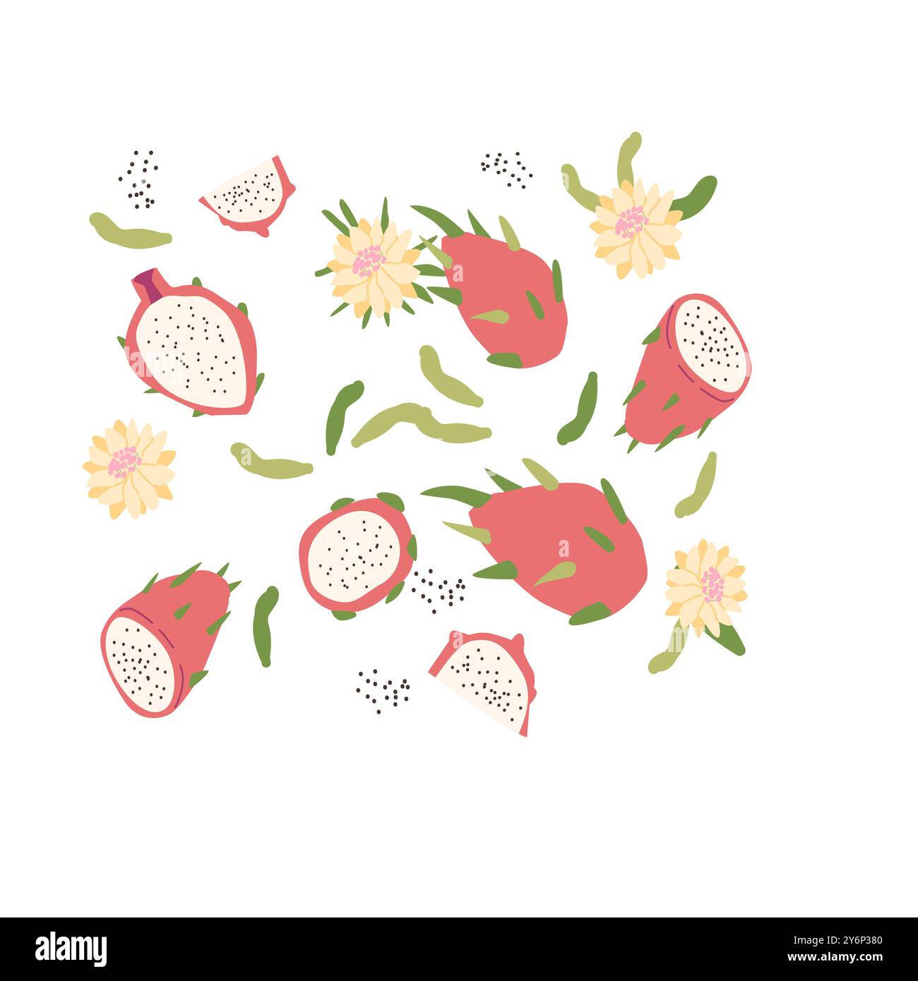 Hand drawn abstract dragon fruit plant set. Whole fruit, slices, pieces ...