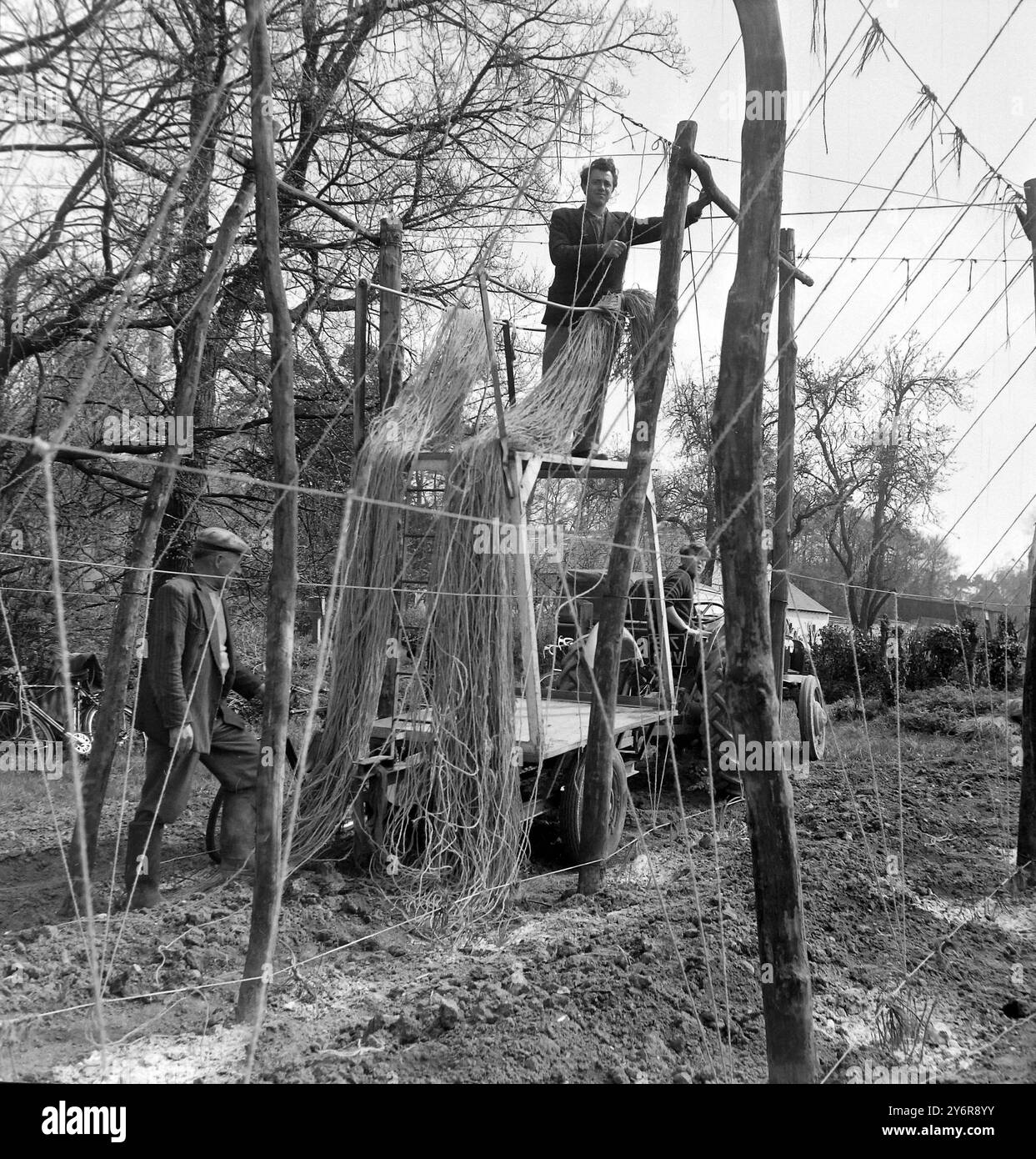 New stringing hi-res stock photography and images - Alamy