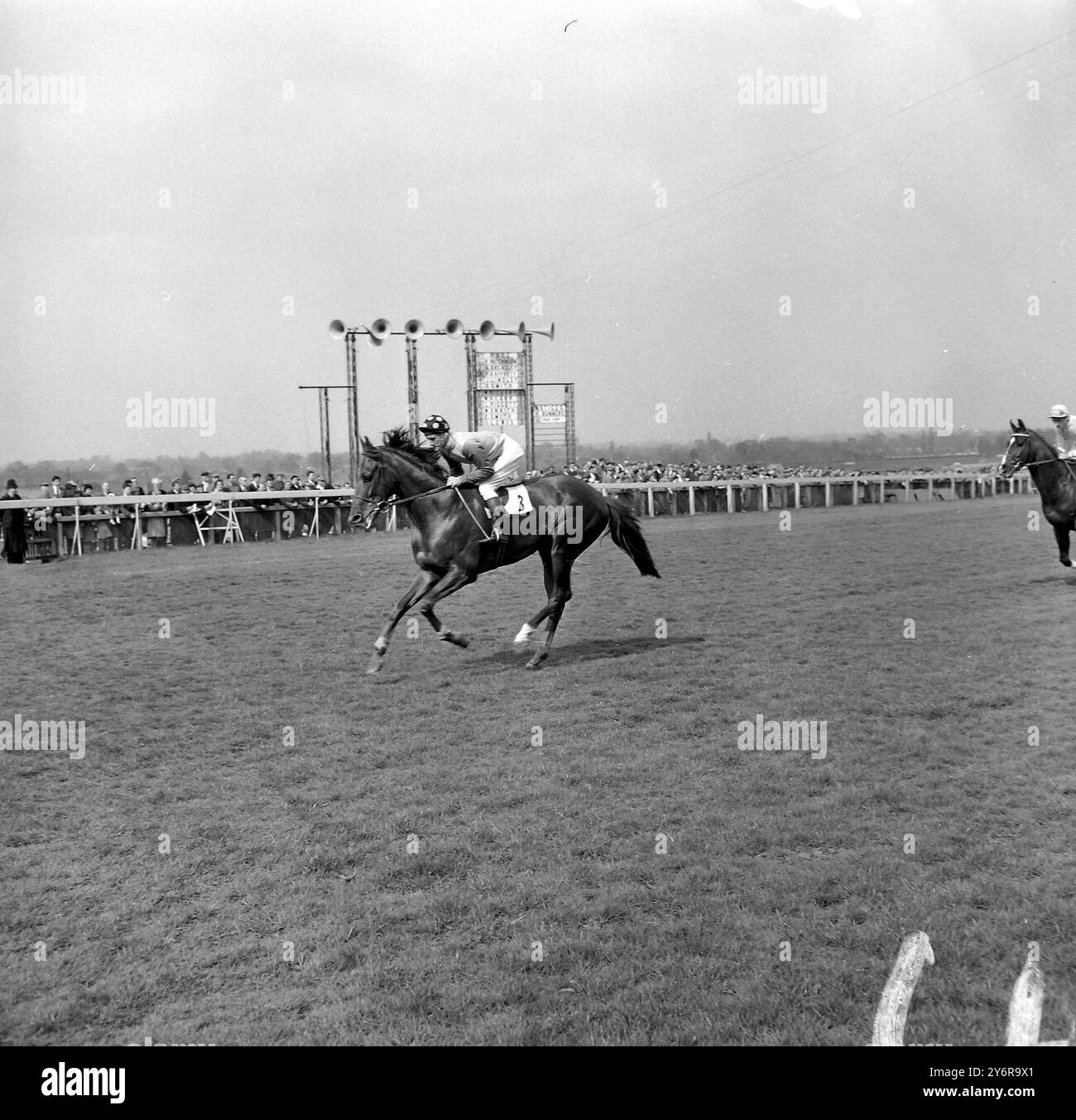 HORSE RACE GRAM OF GOLD & RAFFERTY ; 30 APRIL 1962 Stock Photo - Alamy