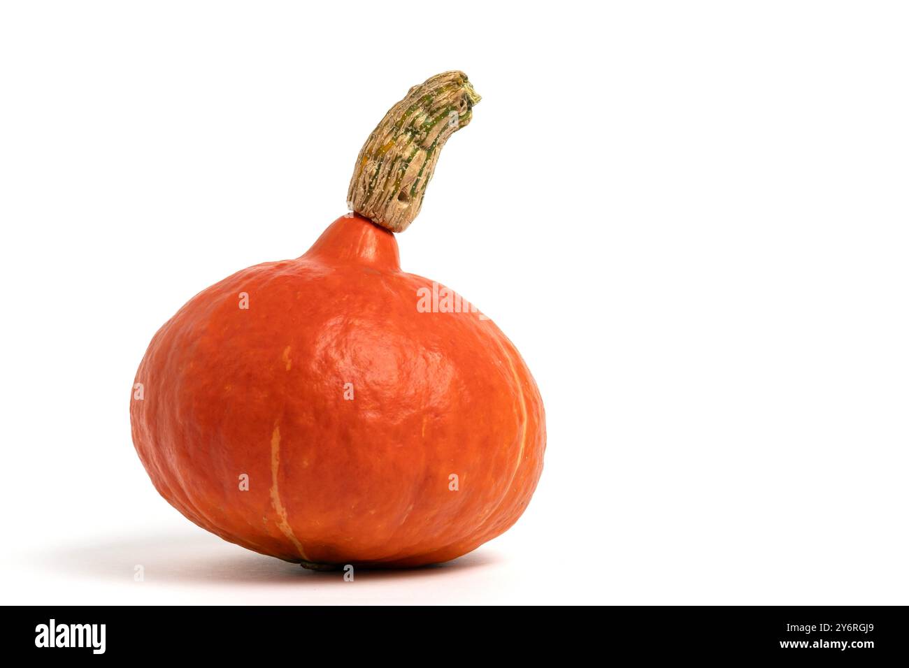 Pumpkin isolated on white background Stock Photo